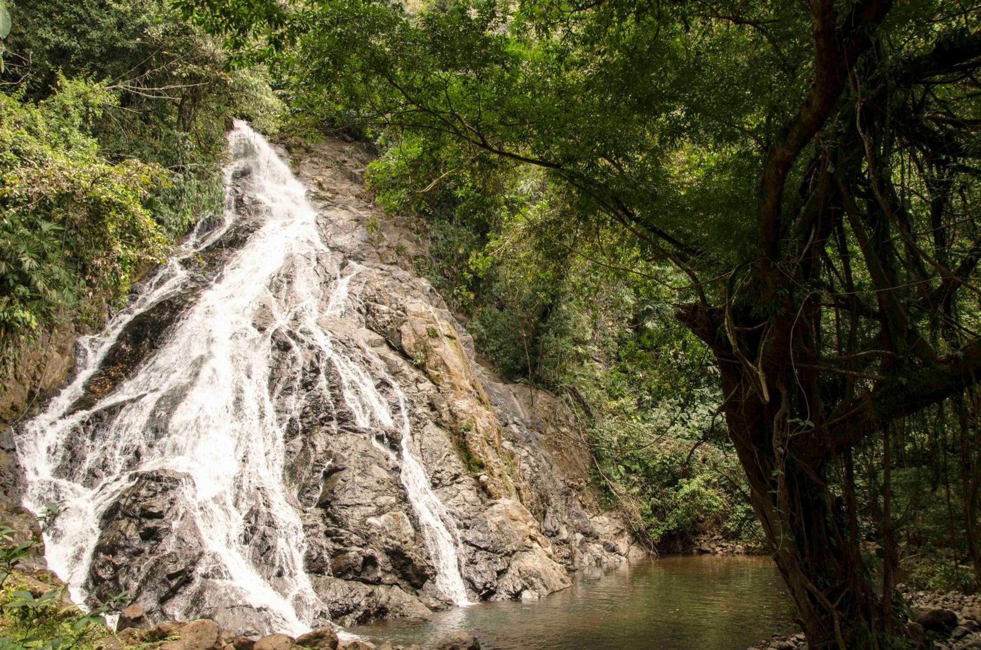 Jardin Botanico Del Pacifico Y Mecana Ecohotel Bahia Solano Luaran gambar