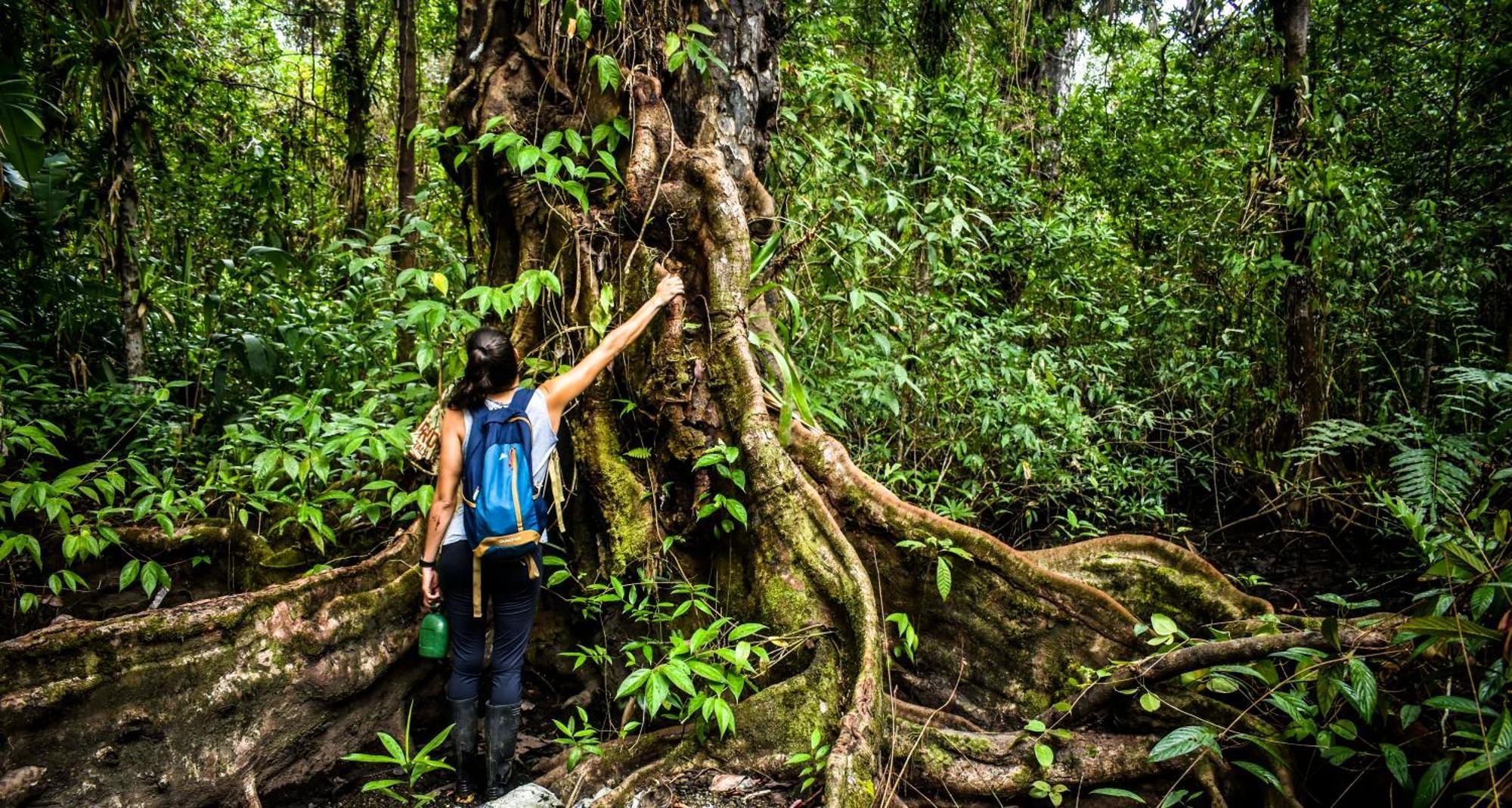 Jardin Botanico Del Pacifico Y Mecana Ecohotel Bahia Solano Luaran gambar