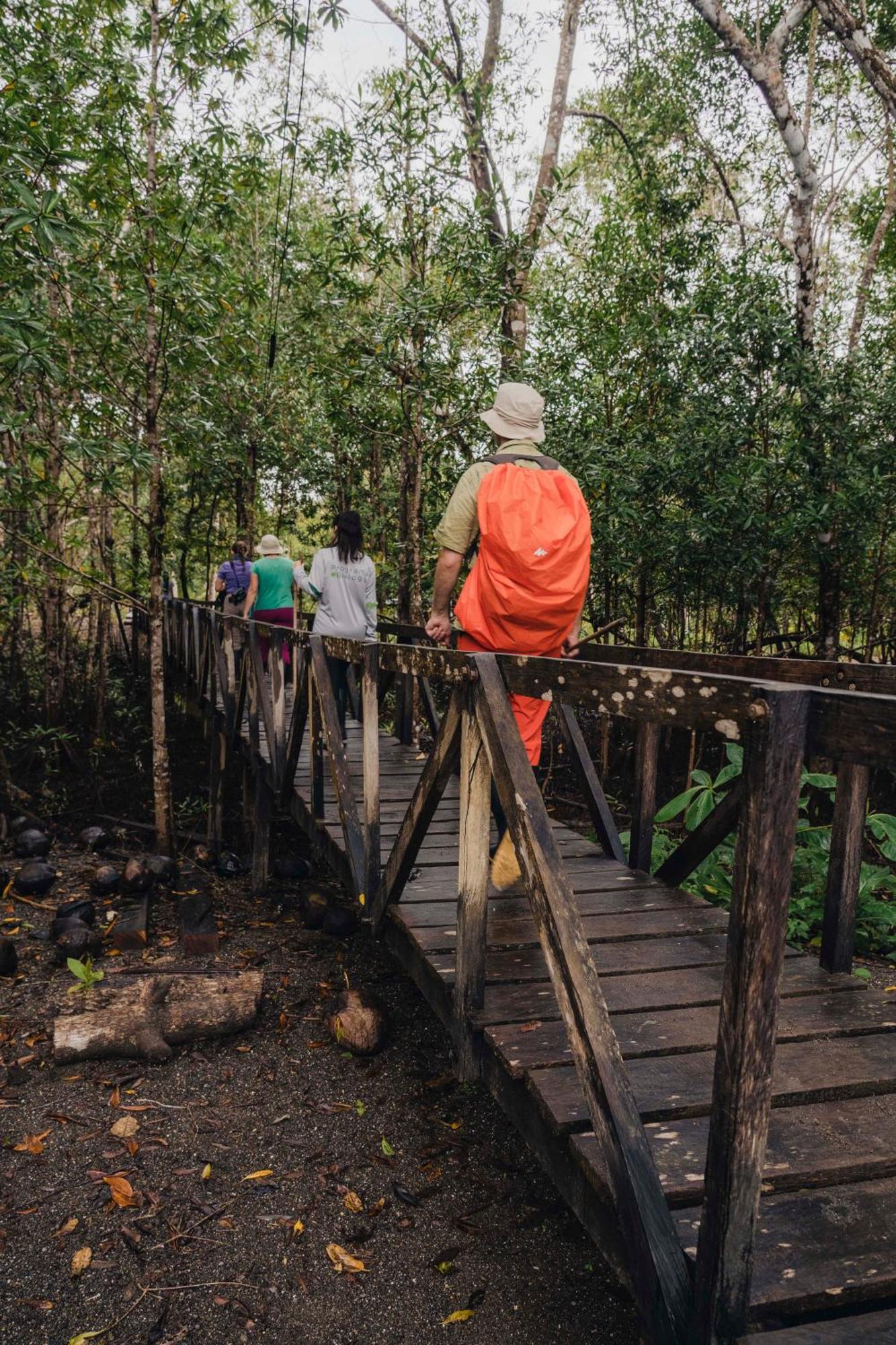 Jardin Botanico Del Pacifico Y Mecana Ecohotel Bahia Solano Luaran gambar