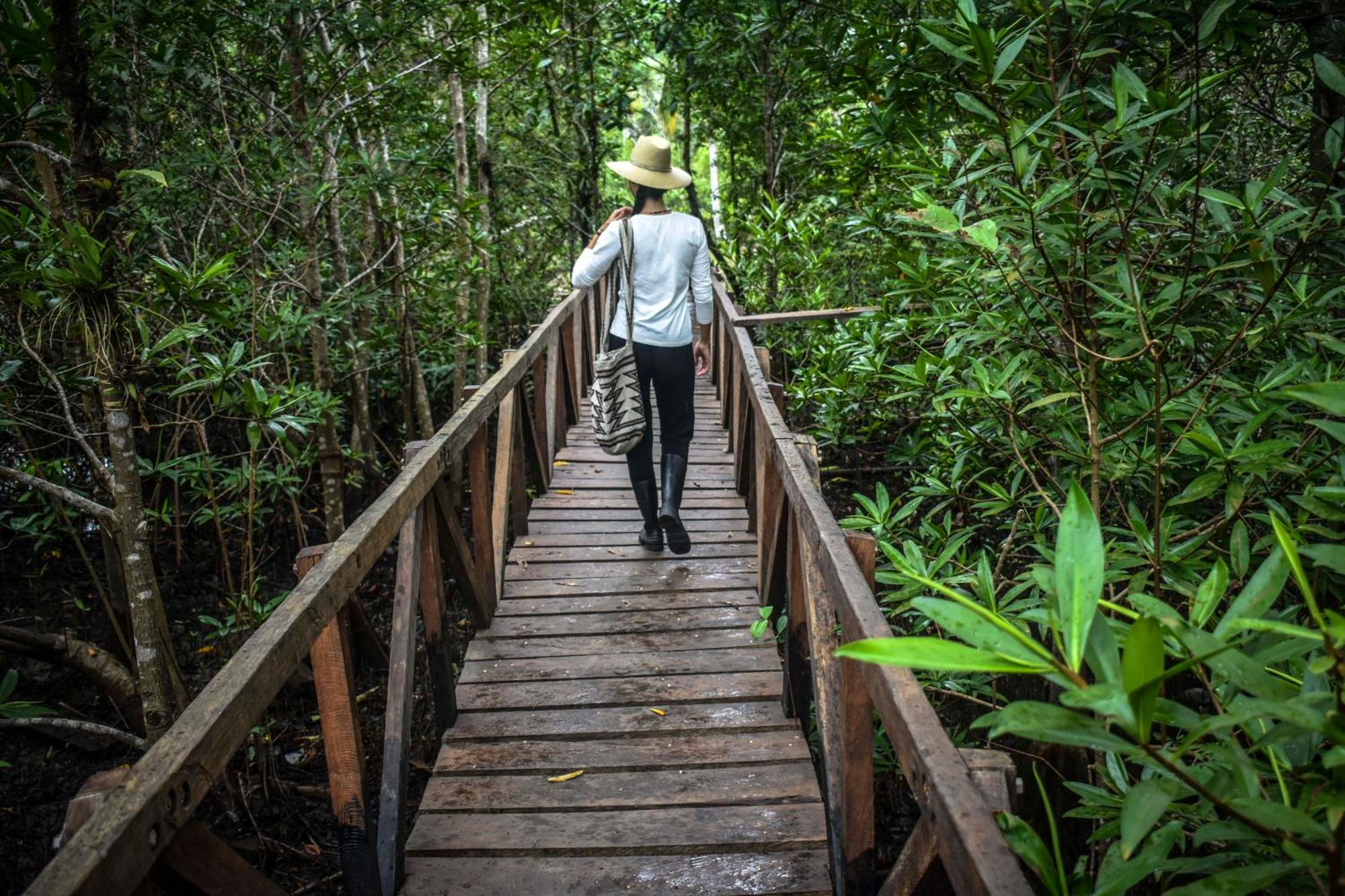 Jardin Botanico Del Pacifico Y Mecana Ecohotel Bahia Solano Luaran gambar