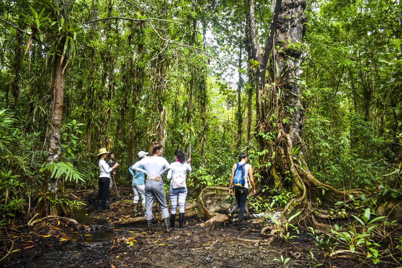 Jardin Botanico Del Pacifico Y Mecana Ecohotel Bahia Solano Luaran gambar